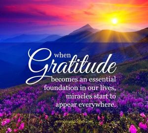 💞💝Farworth Gratitude💞💝